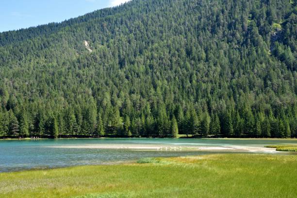 istock Beginning of Dobbiaco lake 1356182196