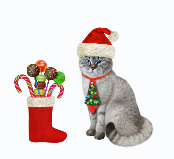istock Cat ashen in holiday tie near Christmas boot 1356182914