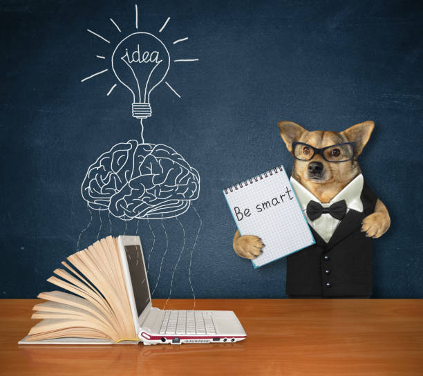 istock Dog near light bulb above brain 2 1356182920