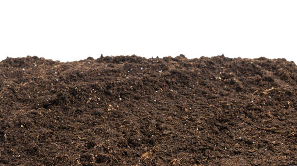 istock Soil for plant isolated on white background. 1356185638