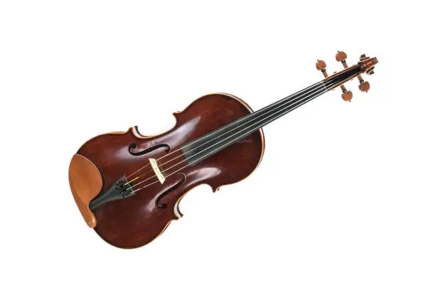 Photo of Viola, a stringed musical instrument from the viol family, used in string quartet, chamber music and symphony orchestra, isolated on a white background, copy space