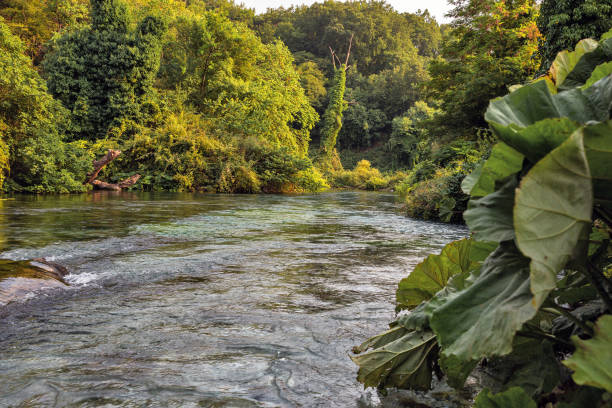 istock The Blue Eye water spring in Albania. 1356186986