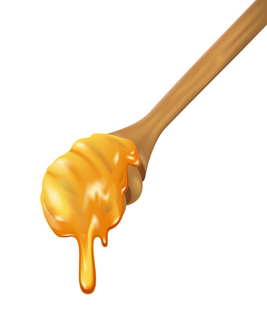 Wooden Honey Dipper with flowing honey on white background, realistic vector illustration