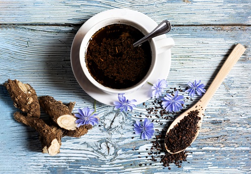 Healthy coffee substitute infusion made with chicory root, the root, the flower and a cup are displayed on a bluish wooden background