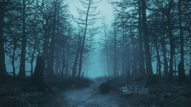 霧の夜怖い森の3dレンダリング - horror spooky shock zombie ストックフォトと画像