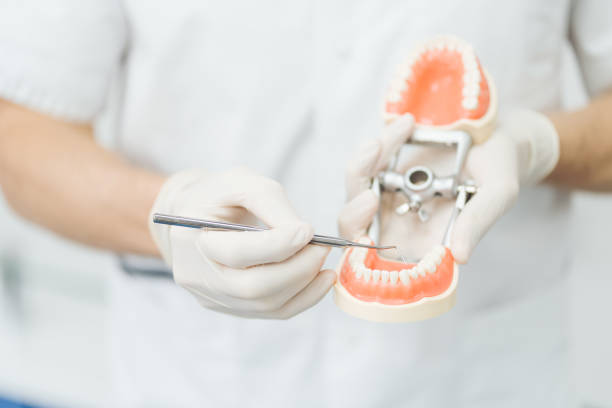 istock Dentist pointing to a plaster cast on white background. Explaining about teeth care 1356190230