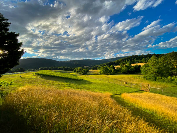 Virginia Winery Near Blue Ridge Mountain Parkway