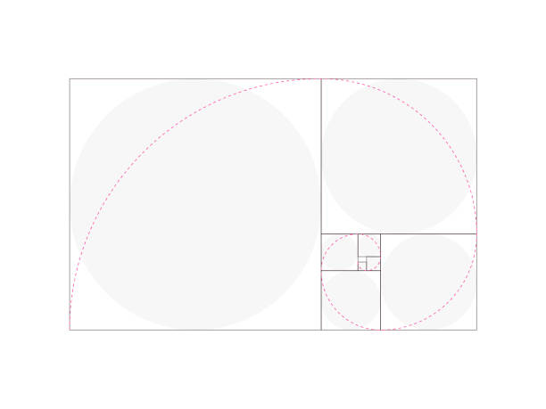 황금 비율 피보나치 시퀀스 편집 가능한 스트로크 - abstract learning education ancient stock illustrations