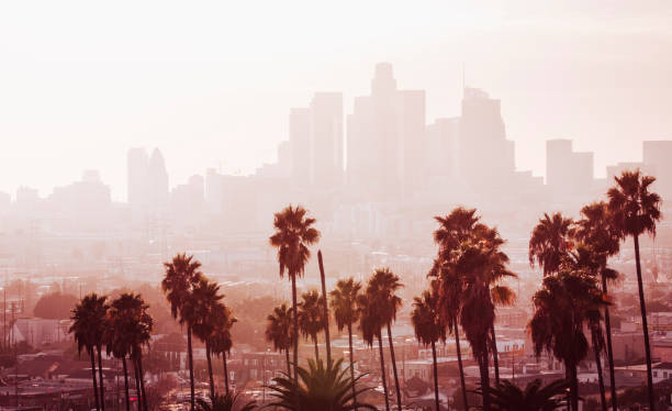 istock Los Angeles downtown with palm trees. 1356194751
