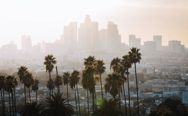 istock Los Angeles downtown with palm trees. 1356194756