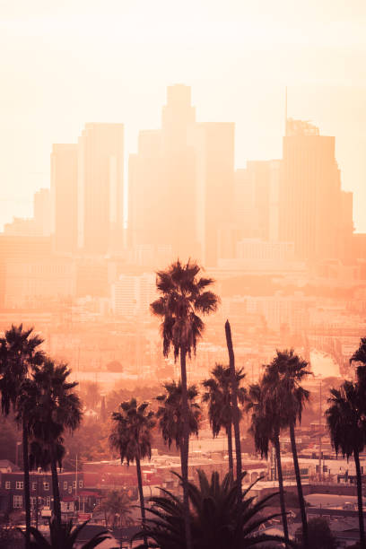 istock Los Angeles downtown with palm trees. 1356194924