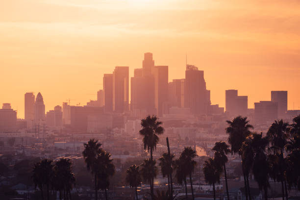 istock Los Angeles downtown with palm trees. 1356194928