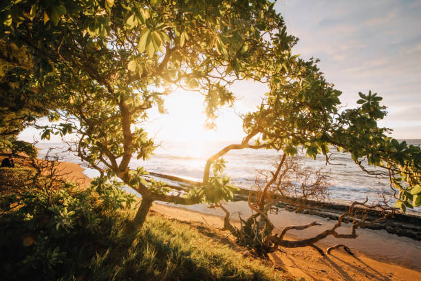 istock Kauai, Hawaii, USA 1356194977