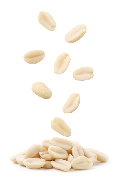 istock Peanuts falls on a heap on a white background. Isolated 1356196196