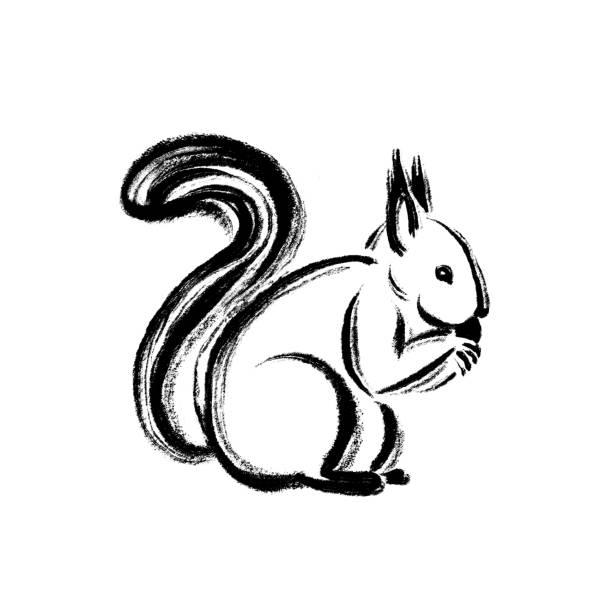 istock Minimalistic squirrel drawing in the technique of one ink stroke. Brush and paint texture. High quality illustration 1356196242