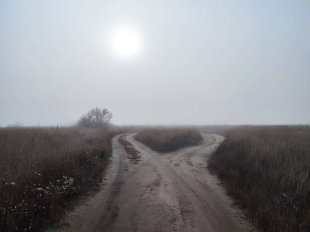 Foggy day on fork roads in autumn gloomy steppe. Choose correct way concept
