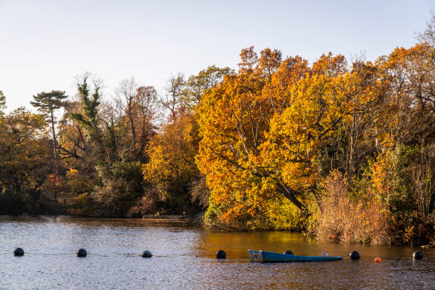 Upper Lake with autumn colours Upper Lake with autumn colours , Crystal Palace Park, London, England, UK borough of bromley photos stock pictures, royalty-free photos & images