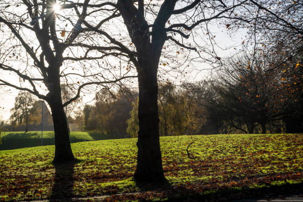 istock Autumn in public park, 1356197686