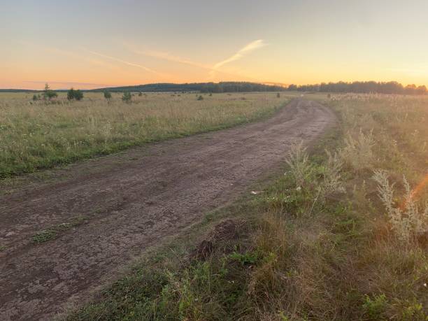istock Rural road in the field 1356198059