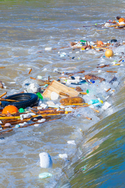 istock Llobregat River Garbage in a Water jump. Balls, bottles, canes, evena wheel... Sad 1356199751