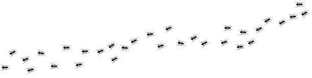 Ant trail A line of worker ants marching in search of food Vector illustration horizontal banner Ant road column Teamwork Hard work metaphor Black insect silhouettes traveling Isolated Ant trail A line of worker ants marching in search of food Vector illustration horizontal banner Ant road column Teamwork Hard work metaphor Black insect silhouettes traveling Isolated ants teamwork stock illustrations