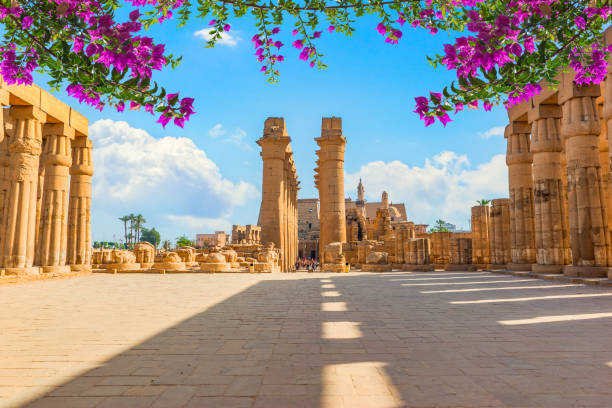 Square in Luxor temple Flowers in the square with columns in Luxor temple, Egypt luxor thebes stock pictures, royalty-free photos & images