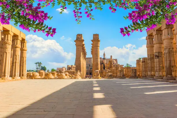 Flowers in the square with columns in Luxor temple, Egypt