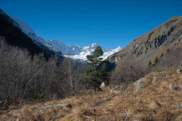 istock Scenic autumn mountain gorge landscape with snow peaks 1356206669