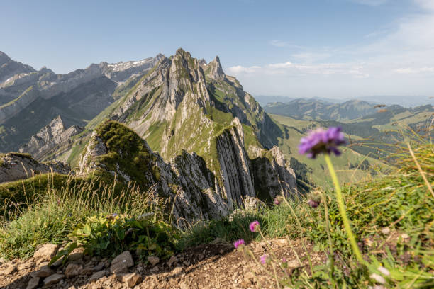 istock Mountain ridge in Appenzellerland canton 1356209493