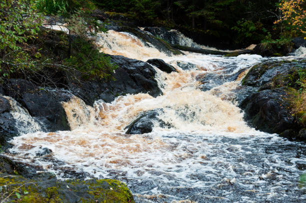 istock golden water streaming from rock in forest at fall 1356211522