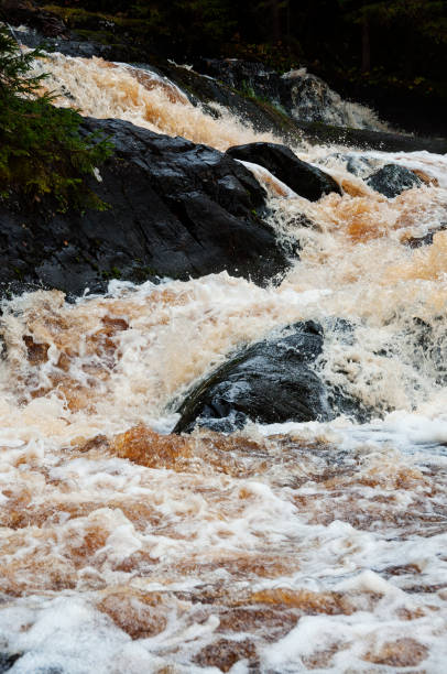 istock foamy water stream on rocks close up 1356211525
