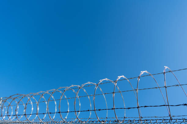istock barbwire prison wall with barbed wire fence coiled razor wire perimeter fence, barbwire. 1356212129