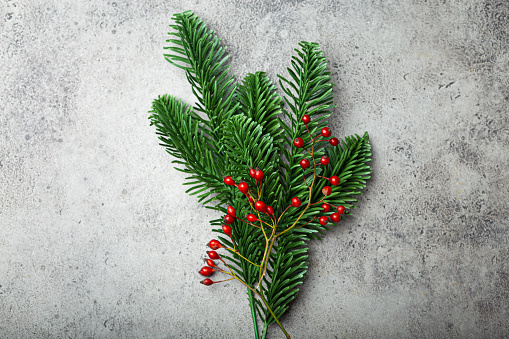 Christmas and New Year flat lay composition with green fir tree branch and forest red berries on gray stone concrete background top view