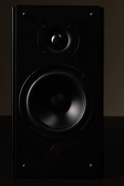istock luxury speaker system, music column with large speaker 1356216223