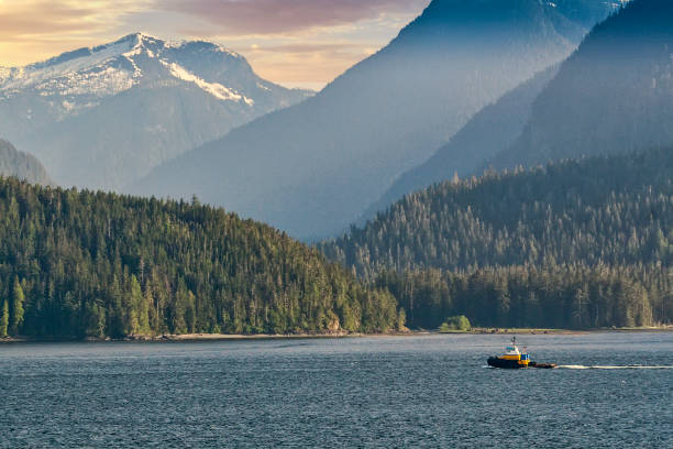 istock Tug Boat on the Inside Passage, Alaska 1356217168