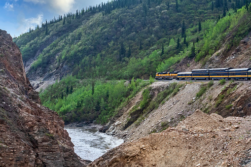Train passing through the beautiful back country in Alaska
