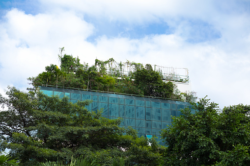 Trees in front and on rooftop garden of modern building in Bangkok