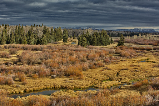 Darkening sky adds storm touch to wetland meadow view of Wyoming's Grand Teton National Park in late October