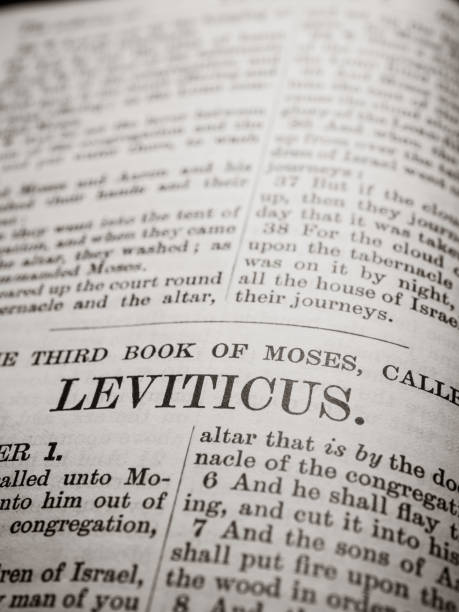 istock Close up of old Holy bible 1356223982