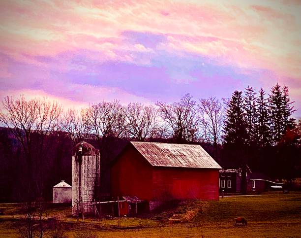 istock Midwest Farm at Dusk 1356227133