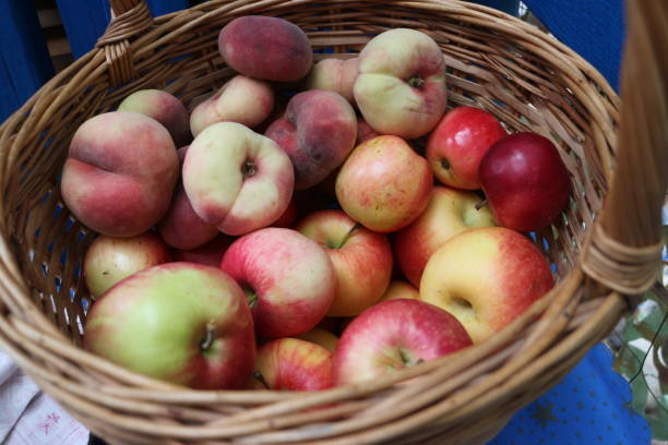 istock wicker basket with ripe fruits 1356228192