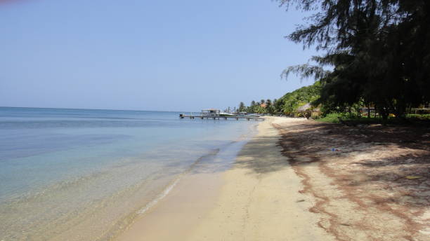 istock Beaches of Roatan Island 1356228611
