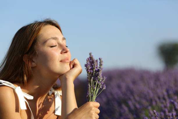 istock Relaxed female resting in lavender field 1356231581