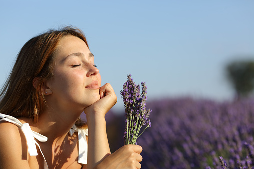 Relaxed female resting in lavender field