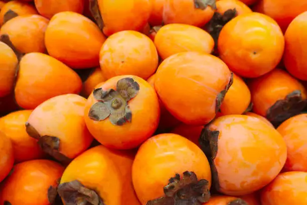 Photo of ripe persimmon of the new harvest in bulk