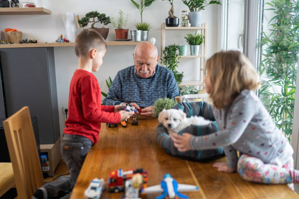 dziadek i dzieci siedzący przy stole i bawiący się zabawkami, podczas gdy słodki pies leżący w łóżku dla zwierząt na stole - child house dog bed zdjęcia i obrazy z banku zdjęć