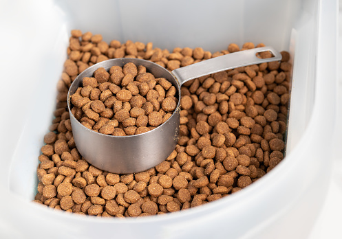 1 cup dry pet or dog food portioned out for a medium to large dogs feeding time. Isolated on white. Selective focus.