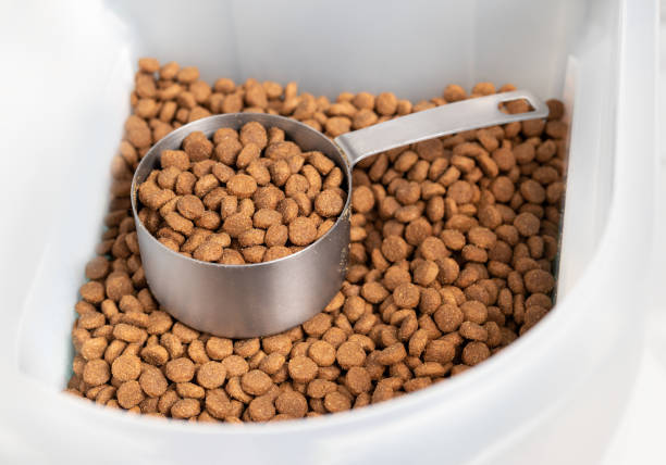 Kibbles with measuring cup inside larger food storage bucket. 1 cup dry pet or dog food portioned out for a medium to large dogs feeding time. Isolated on white. Selective focus. dog food stock pictures, royalty-free photos & images