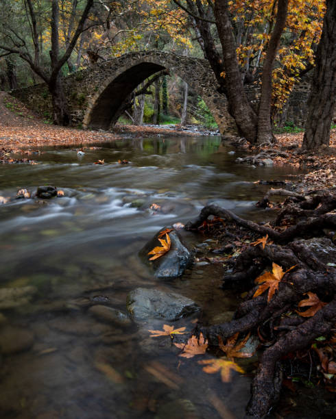 istock Autumn landscape with river flowing below an ancient stoned bridge 1356236877