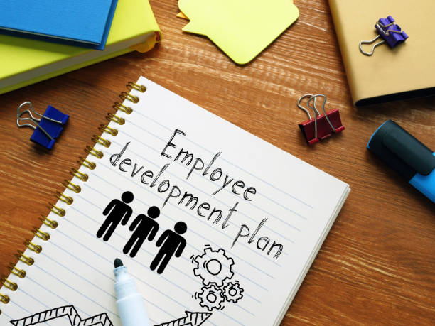 istock Employee development plan is shown on the business photo using the text 1356237861